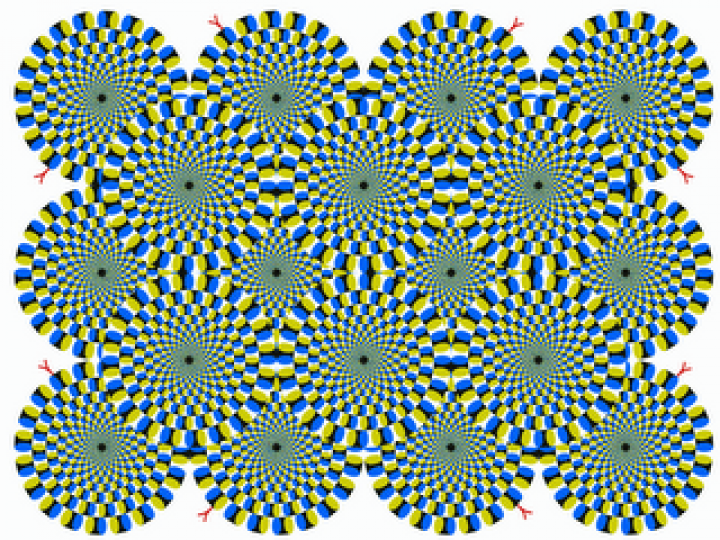 illusion-Akiyoshi1-e1303148788458.png