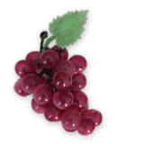 raisin