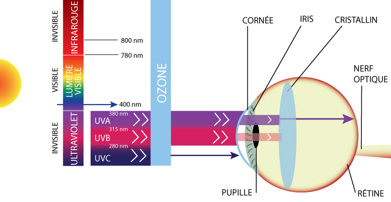 Comment protéger ses yeux de la lumière bleue ?